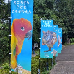 画像 智光山公園プチ吟行 の記事より 1つ目