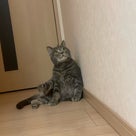 ☆白州とひらめ☆の記事より