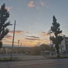 秋の気配？の画像