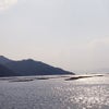 これからの目標？そんなんあったのか？の画像