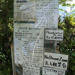 画像 名もなき池(モネの池) の記事より 13つ目