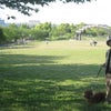 母との思い出の写真の画像