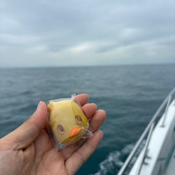 画像 びっくりしたぁーー！ の記事より 1つ目