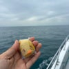 びっくりしたぁーー！の画像