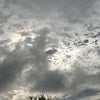 今朝の朝日1623の画像