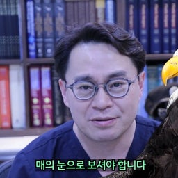 画像 エラ手術後の痛み、皮膚に穴が開いた副作用の原因-腐った骨片 の記事より 7つ目