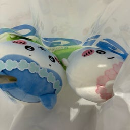 画像 くら寿司コラボ終了してゲーセンで散財した週末 の記事より 2つ目