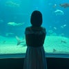 海遊館  相馬優芽の画像