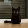 今日も1日の画像