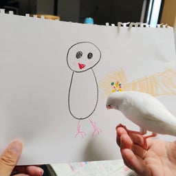 画像 夏のノートと最近のおもち の記事より 5つ目