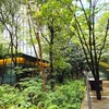 「大手町の森」と「OOTEMORI」の画像