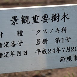画像 大楠と富双緑地 の記事より 1つ目