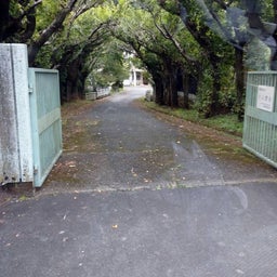 画像 防災を学ぶお泊りイベントIN新城　旧門谷小学校　 の記事より 2つ目