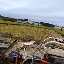 画像 稲刈り の記事より
