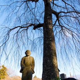 画像 今日の一枚・・・　　　2027長安寺カレンダー　　十二月から の記事より