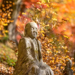 画像 今日の一枚・・・　　　2027長安寺カレンダー　　十一月から の記事より