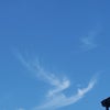 私にとって精神的な刺激が大きかった話(ムーダン編)の画像
