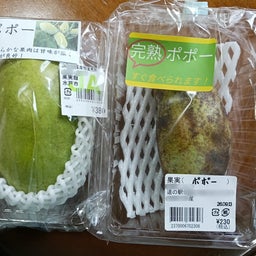 画像 やっぱり出られず の記事より