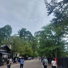 大曲花火ツアー　3の記事より
