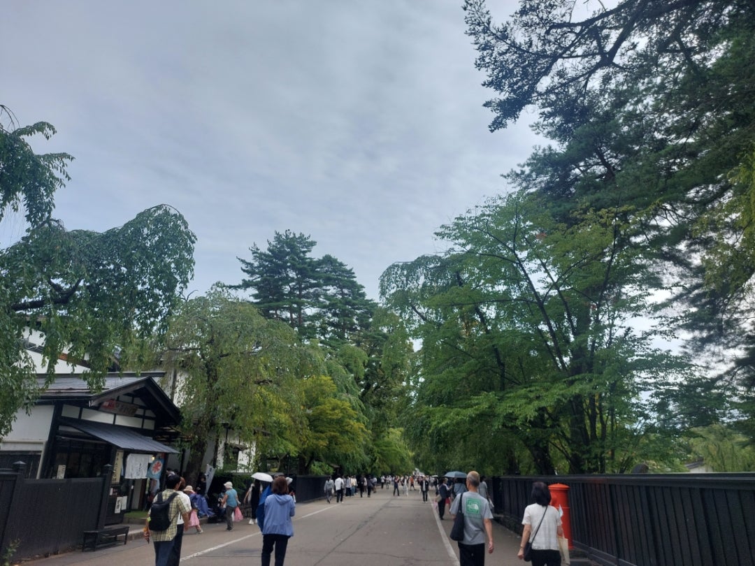 大曲花火ツアー　3の記事より