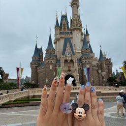 画像 2026.夏ディズニー①ランド の記事より 8つ目