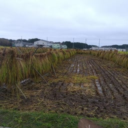 画像 小田木掛け の記事より