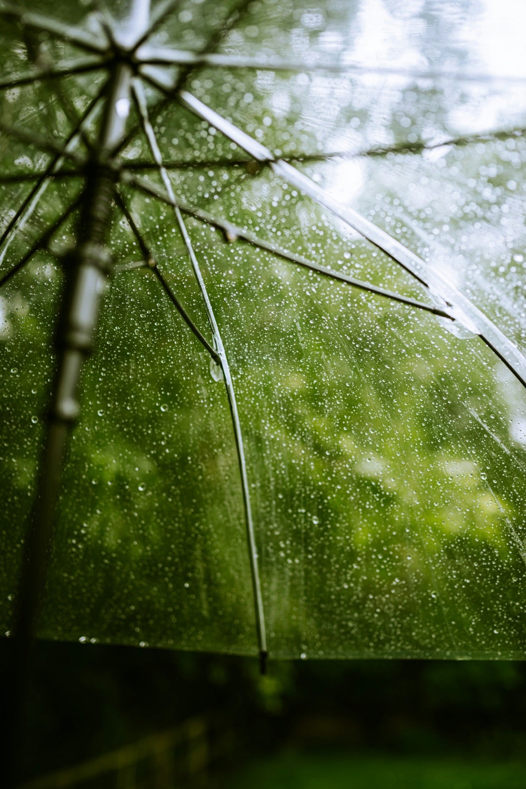 なんか雨続きだからビタミンDについて語ろうかの記事画像