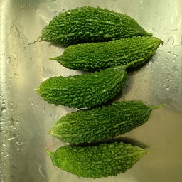 画像 ゴーヤ収穫 ボリジ開花 の記事より 2つ目