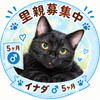 ゆず太郎日記・エキスパートの画像