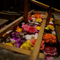 画像 嫁と夜桜散歩♪～諏訪神社、展勝地（北上）～ の記事より 3つ目