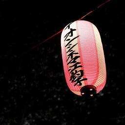画像 嫁と夜桜散歩♪～諏訪神社、展勝地（北上）～ の記事より 9つ目