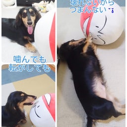 画像 破壊ダー対策レポート の記事より 9つ目