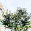 自由が丘で個人セッション♪の画像