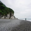 久し振りの海　ショウリョウバッタの画像