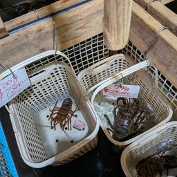 画像 続・俺ってミーハー♪【３度目の正直 編】 の記事より 18つ目