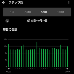 画像 1日1万歩　4ヵ月経過 の記事より 3つ目