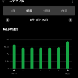 画像 1日1万歩　4ヵ月経過 の記事より 2つ目