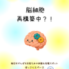 脳細胞再構築中？！の画像
