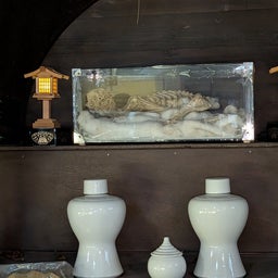 画像 俺ってミーハー♪【河童のミイラの酒蔵に 編】 の記事より 18つ目