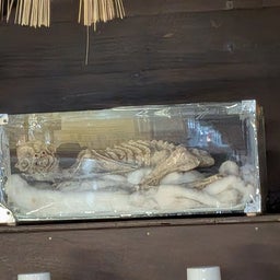 画像 俺ってミーハー♪【河童のミイラの酒蔵に 編】 の記事より 21つ目