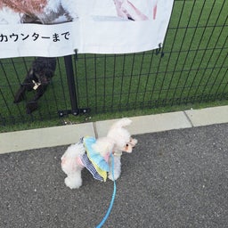 画像 福ちゃんの新着 の記事より 8つ目