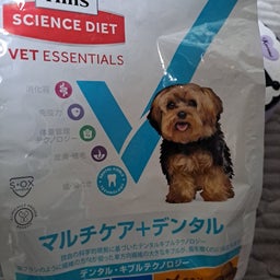 画像 福ちゃんの新着 の記事より 4つ目