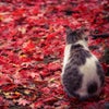 「このままでは嫌だ」と思った17年前の画像