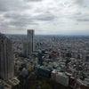 今週はの画像