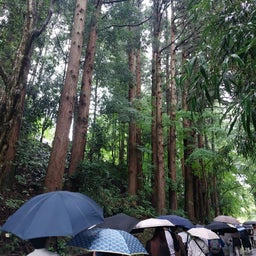 画像 大曲花火大会　6 の記事より 1つ目