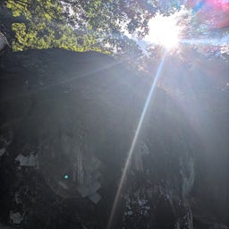 画像 これからもよろしくお願いします✨️ の記事より 7つ目