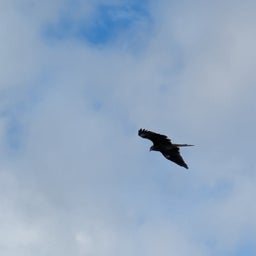 画像 21日の今日は の記事  より 36つ目