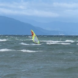 画像 21日の今日は の記事より 4つ目