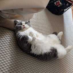 画像 物欲 の記事より 5つ目
