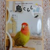 鳥ざんまいの日々の画像